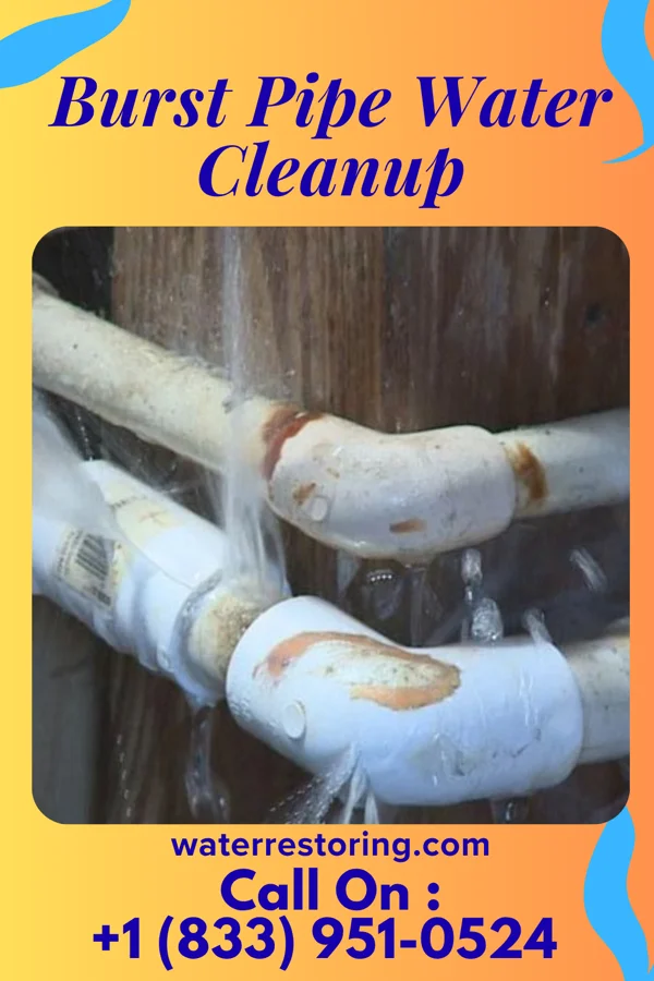 Burst Pipe Water Cleanup in Chain of Rocks, MO