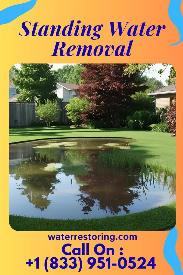 Standing Water Removal in Chain of Rocks, MO
